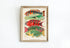 Rustic Wood Framed Great Barrier Reef Fishes Vintage Illustration Wall Art Print